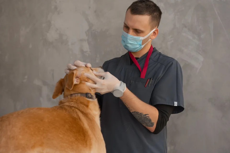Hình ảnh tại Thuốc Thú Y Quảng Nam 2